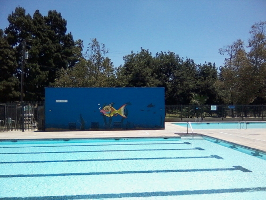 Swimming Pool Mural