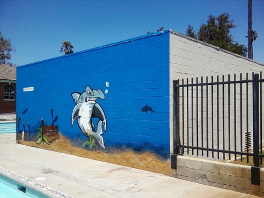 Swimming Pool Mural