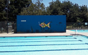 Swimming Pool Mural