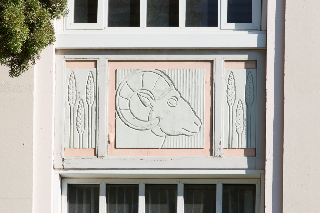 Detail of the Buffalo