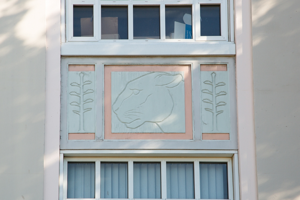 Detail of the Lion