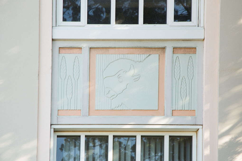 Detail of the Ram